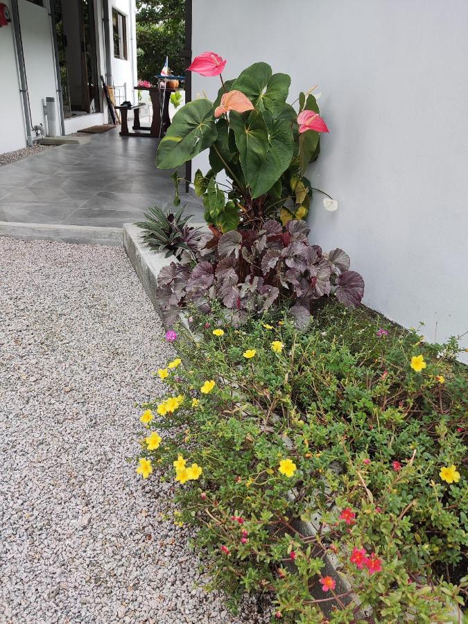 Riverside Mount Simpson Upper Beau Vallon  Exterior foto