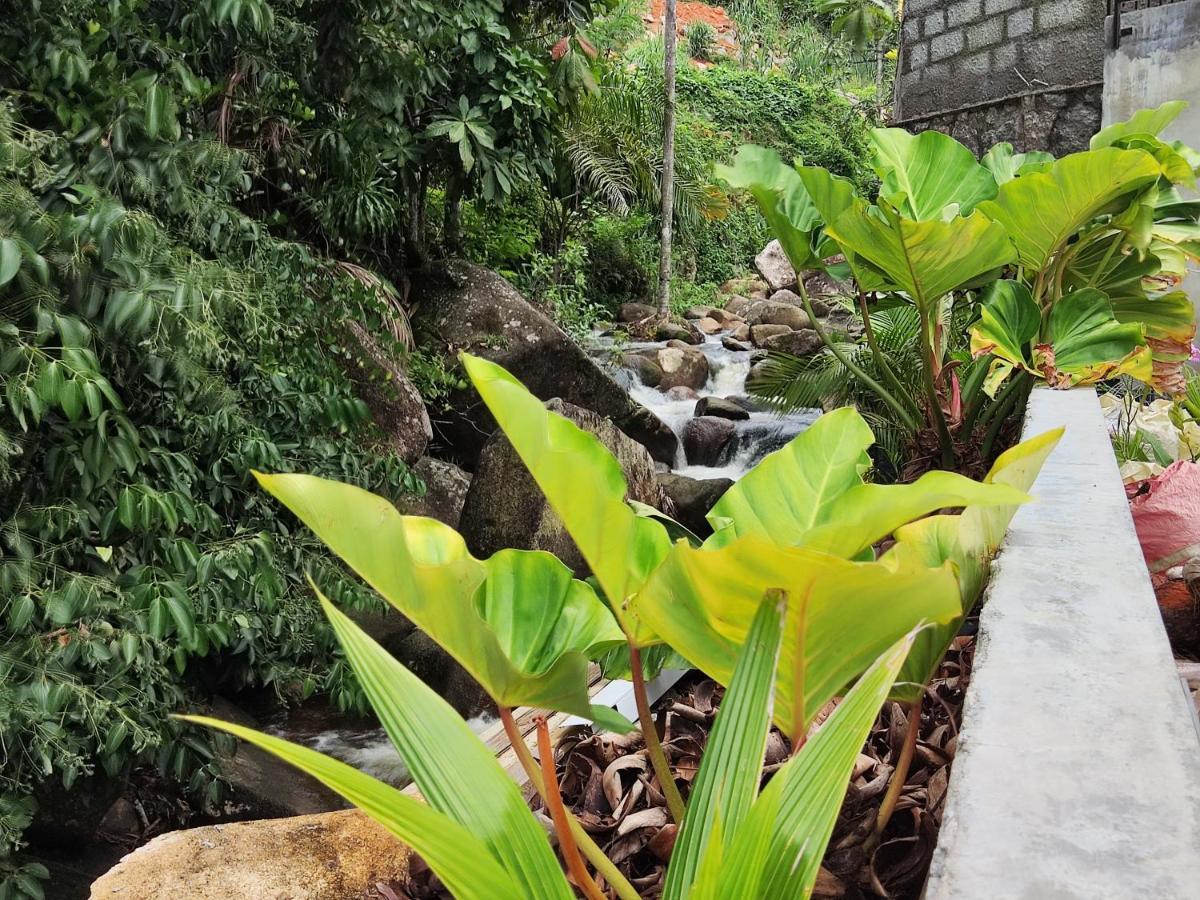 Riverside Mount Simpson Upper Beau Vallon  Exterior foto