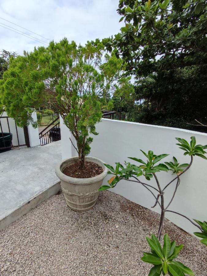 Riverside Mount Simpson Upper Beau Vallon  Exterior foto