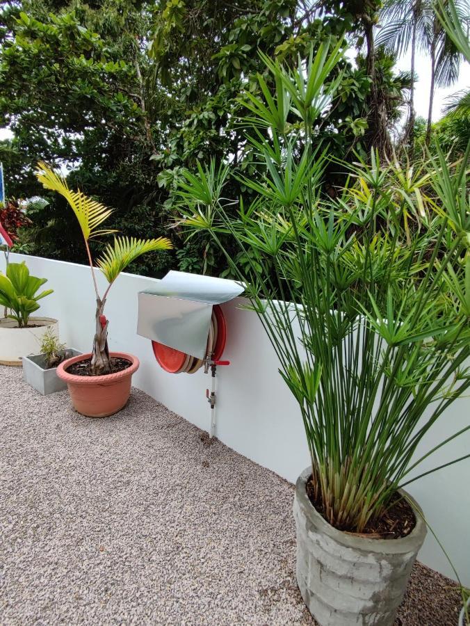 Riverside Mount Simpson Upper Beau Vallon  Exterior foto